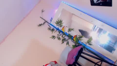 danny online show from 12.17.24