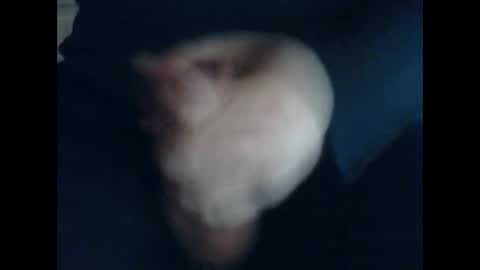 Snapshot of cutieguy86 chatting on 10.31.25 CutieBoy online show from 10.31.25