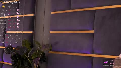 Ivy online show from 02.11.25