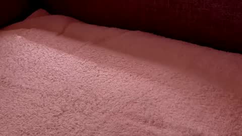 Snapshot of dad_next_door chatting on 02.27.25 Richard online show from 02.27.25