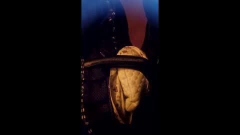 Daddett iS Wett online show from 03.17.26