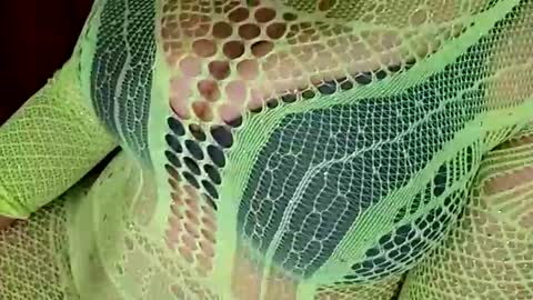 Daddett iS Wett online show from 03.31.26