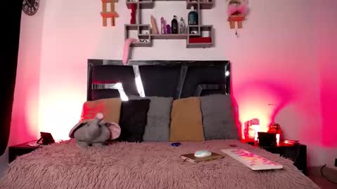 daenerys_cat online show from 01.31.25