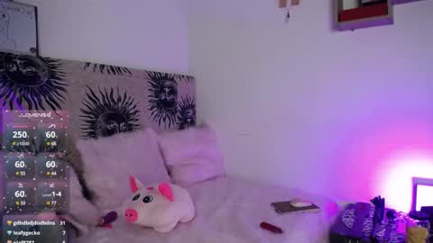 daenerys_cat online show from 03.01.25