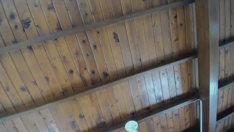 dafne_hillss online show from 09.27.25