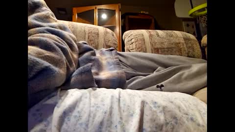 Snapshot of dailyjerker84 chatting on 03.01.25 DailyJerker84 online show from 03.01.25