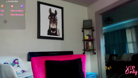 Daisy online show from 03.29.26