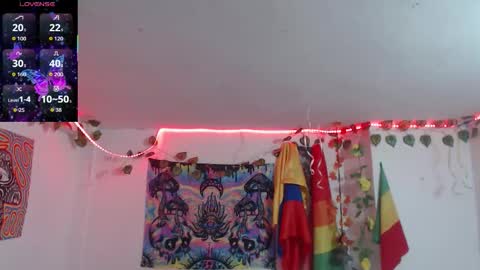 Dakko online show from 02.16.26