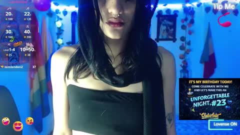 Dakko online show from 03.19.26