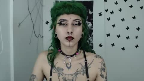 dakota online show from 12.11.24