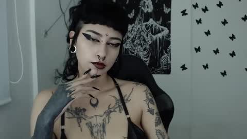 dakota online show from 01.29.25