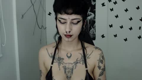 dakota online show from 02.15.25