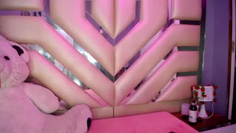 Snapshot of dalia_corrs0 chatting on 02.13.25 online show from 02.13.25