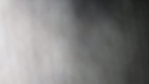 Dalia April online show from 01.11.26