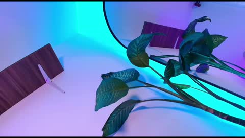 Snapshot of dalila_thoms chatting on 11.08.25 Dalila online show from 11.08.25