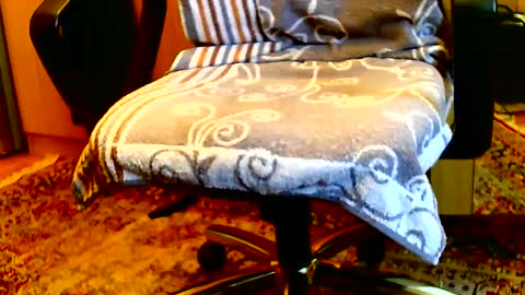 Dammerl online show from 01.15.25