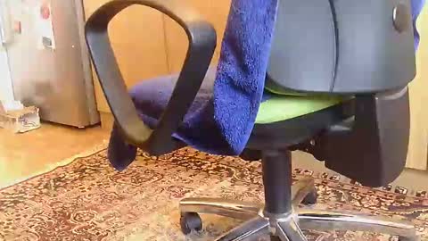 Dammerl online show from 02.18.25