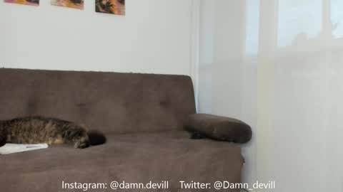 Angie   online show from 03.01.25