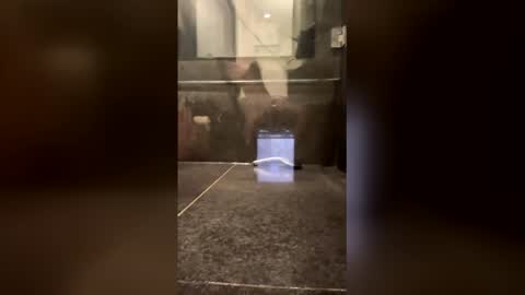 Snapshot of damrak50 chatting on 11.30.25 damrak50 online show from 11.30.25