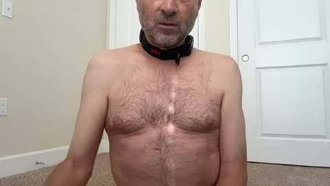 slave being trained online show from 06.18.26