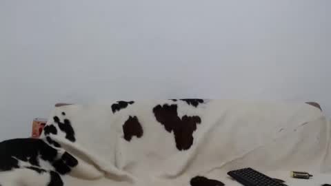 dan_jonson15 online show from 11.26.25