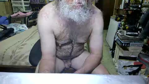 Dana online show from 04.19.26