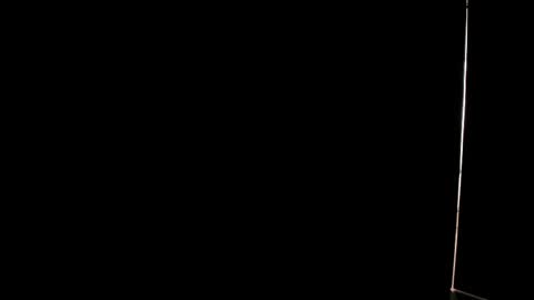 Dancel online show from 04.29.26