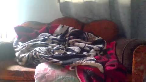 dani9821569006 online show from 03.25.26