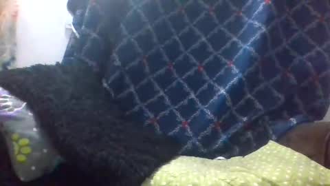 dani9821569006 online show from 03.29.26