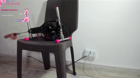 DANI online show from 01.13.25