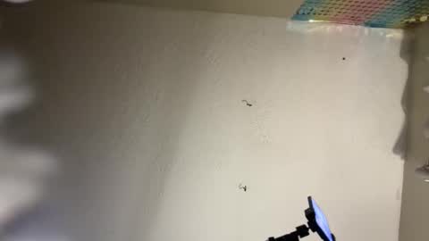 Snapshot of danidragon69 chatting on 02.08.25 Dani Dragon online show from 02.08.25