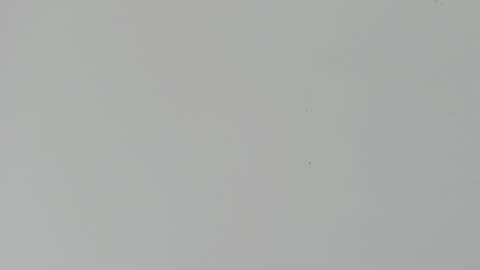 daniel_kingxxx online show from 03.02.26