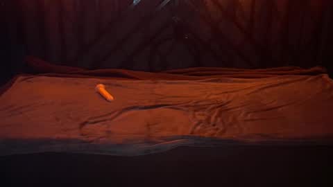 Snapshot of danielareign chatting on 12.20.25 danielareign online show from 12.20.25