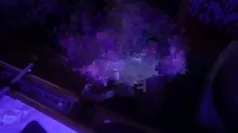 Snapshot of dankfuckcouple chatting on 09.28.25 dankfuckcouple online show from 09.28.25