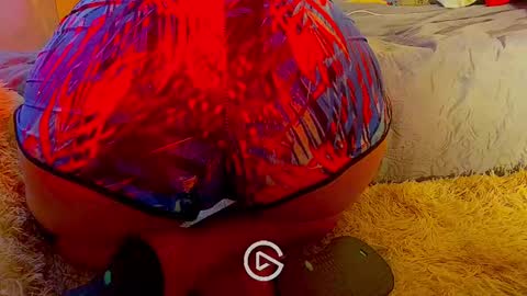 dandeb online show from 01.26.25