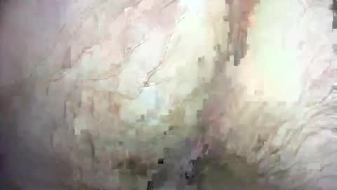 Snapshot of dankz4two0 chatting on 12.21.24 dankz4two0 online show from 12.21.24