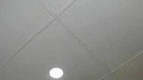 dannaberlin_0 online show from 03.08.25