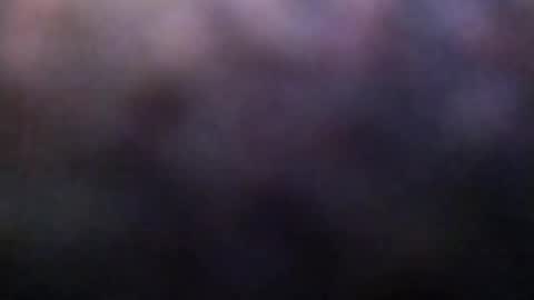 Snapshot of dannowisc chatting on 02.23.26 dannowisc online show from 02.23.26