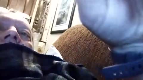 dannowisc online show from 03.15.26