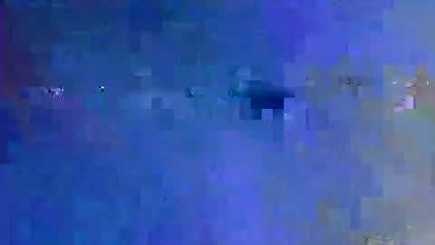 danny149664 online show from 05.31.26