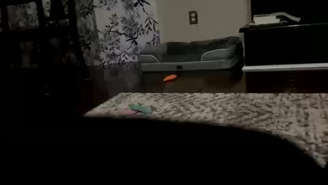 dannyboy621 online show from 10.20.25