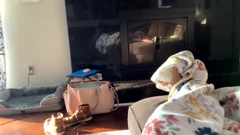 dannyboy621 online show from 11.02.25