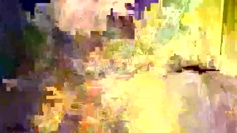 dano9696 online show from 12.05.25