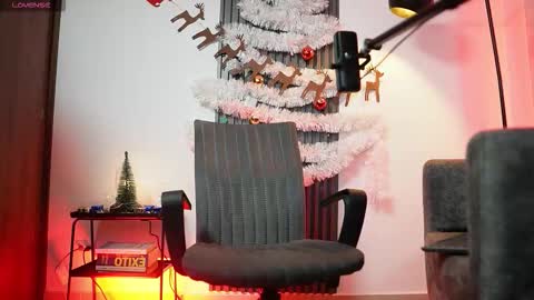 SEBAS online show from 12.17.25