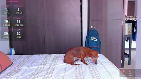 Snapshot of danyfitguy_ chatting on 11.09.25 danyfitguy_ online show from 11.09.25