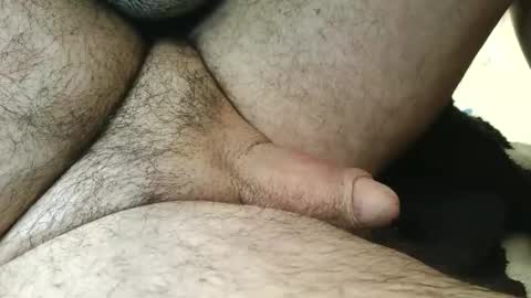 dapppper online show from 03.17.26