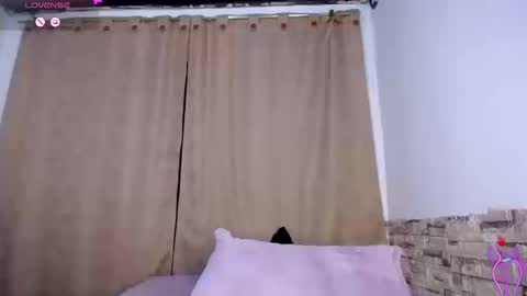 DARA online show from 03.11.26