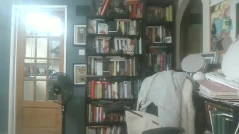 Darcy online show from 01.26.25