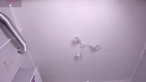 Snapshot of dark_willllow chatting on 11.14.25 Alise online show from 11.14.25