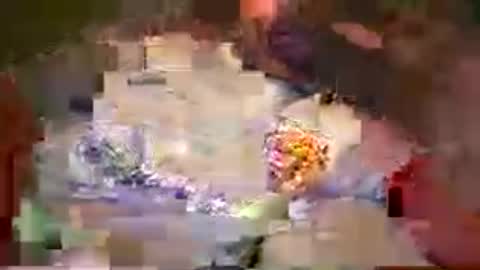 darthhall online show from 06.22.26